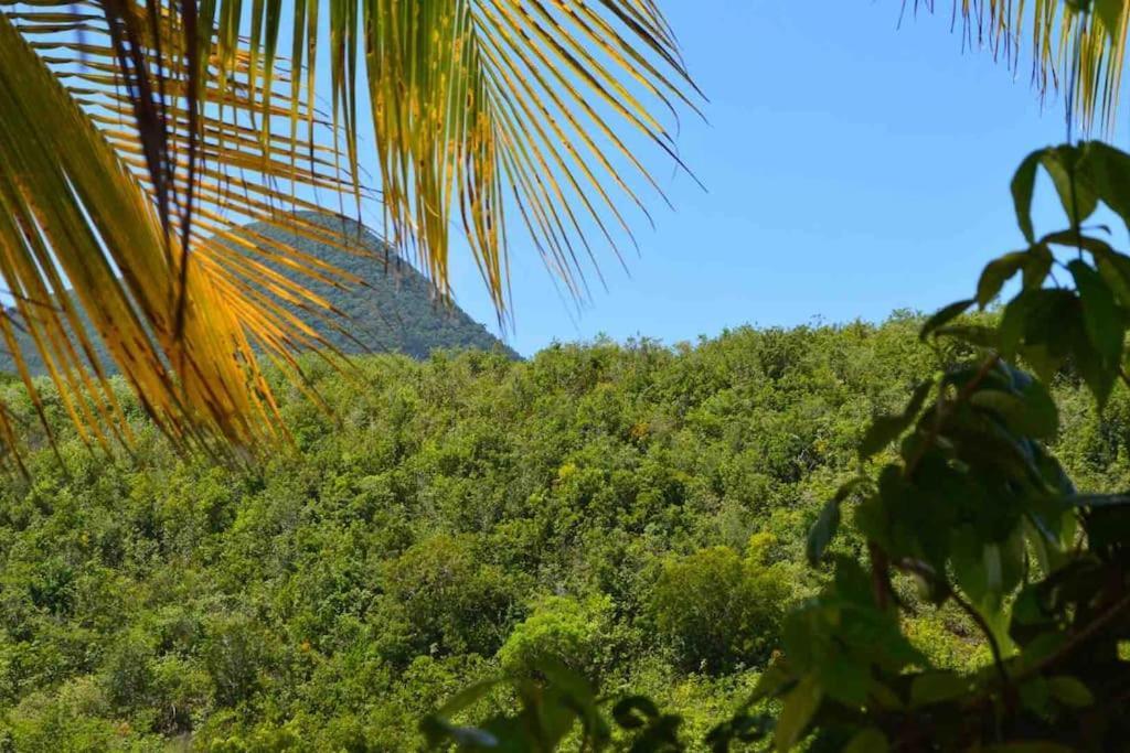 La Villa Coconut Vue A 180° Mer Rocher Du Diamant Le Diamant Luaran gambar
